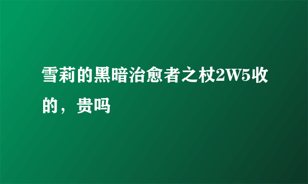 雪莉的黑暗治愈者之杖2W5收的，贵吗