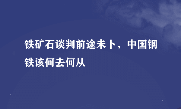 铁矿石谈判前途未卜，中国钢铁该何去何从