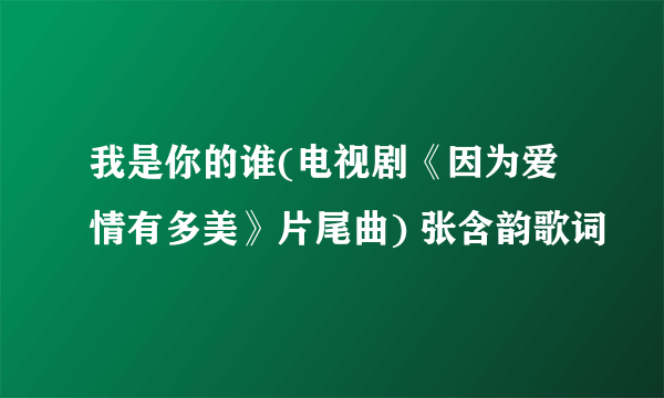 我是你的谁(电视剧《因为爱情有多美》片尾曲) 张含韵歌词