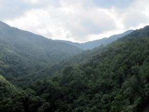 哀牢山4名地质队员遗体被转运，救援车鸣笛致哀，你对这一幕有何感触？