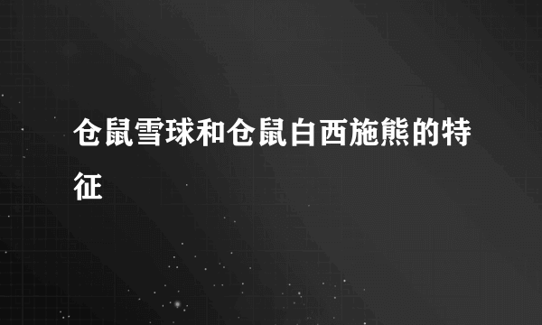 仓鼠雪球和仓鼠白西施熊的特征