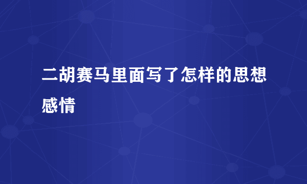 二胡赛马里面写了怎样的思想感情