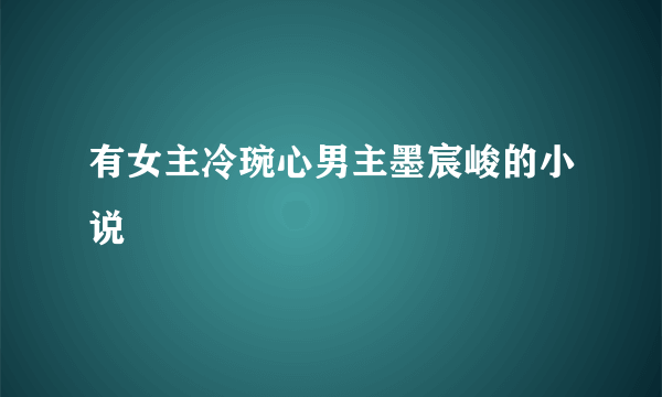 有女主冷琬心男主墨宸峻的小说