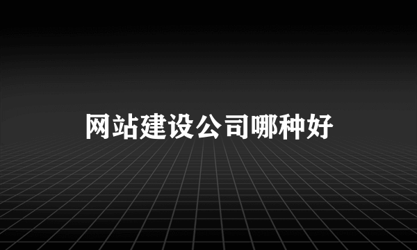 网站建设公司哪种好