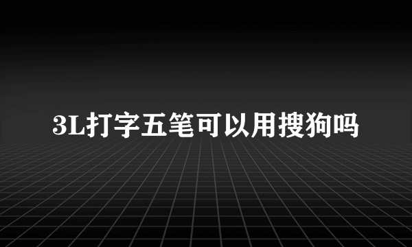 3L打字五笔可以用搜狗吗