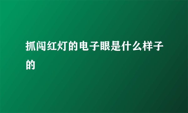 抓闯红灯的电子眼是什么样子的