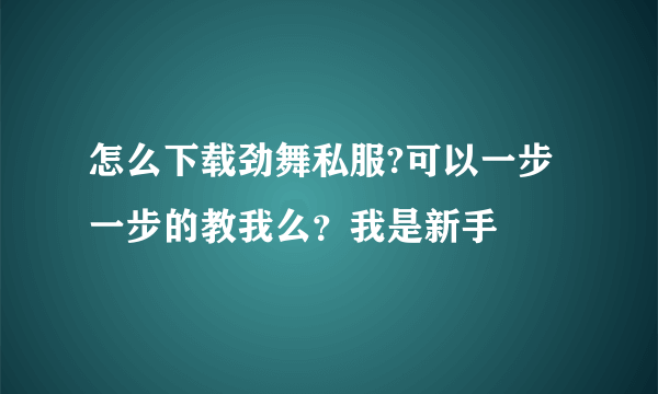 怎么下载劲舞私服?可以一步一步的教我么？我是新手