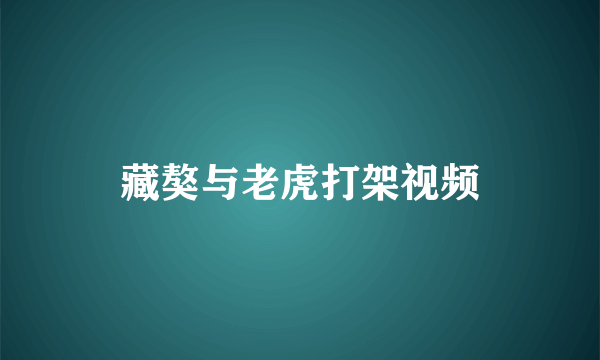 藏獒与老虎打架视频