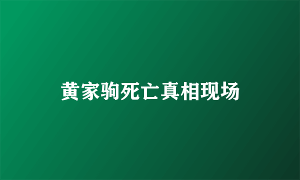 黄家驹死亡真相现场