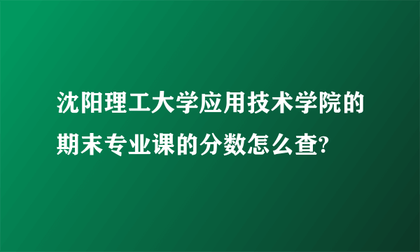 沈阳理工大学应用技术学院的期末专业课的分数怎么查?