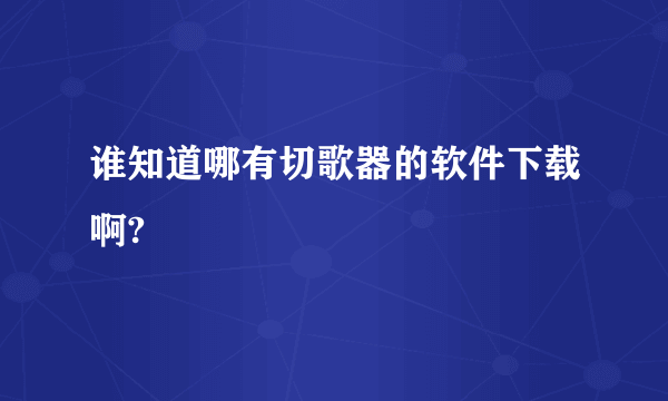 谁知道哪有切歌器的软件下载啊?