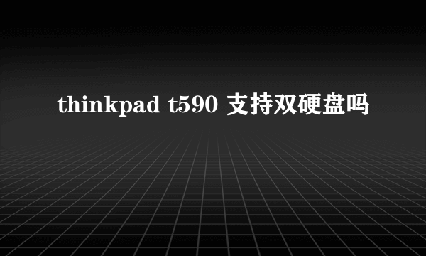 thinkpad t590 支持双硬盘吗