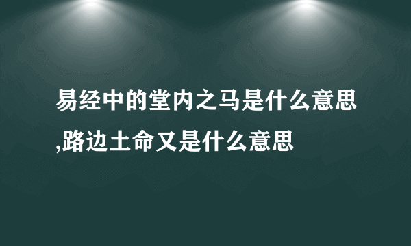 易经中的堂内之马是什么意思,路边土命又是什么意思