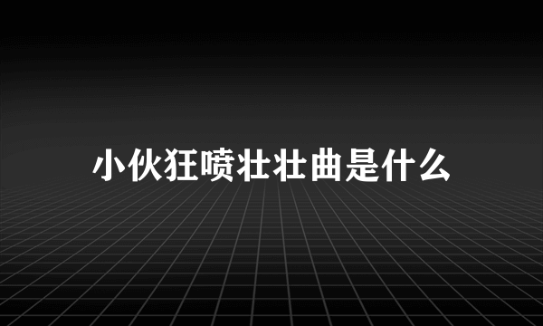 小伙狂喷壮壮曲是什么