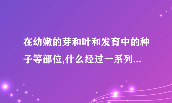 在幼嫩的芽和叶和发育中的种子等部位,什么经过一系列反应可转变成生长素