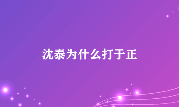 沈泰为什么打于正