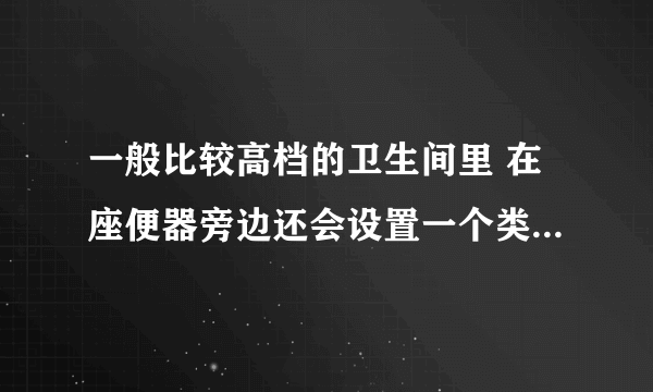 一般比较高档的卫生间里 在座便器旁边还会设置一个类似的东西，那个东西的名称是什么？