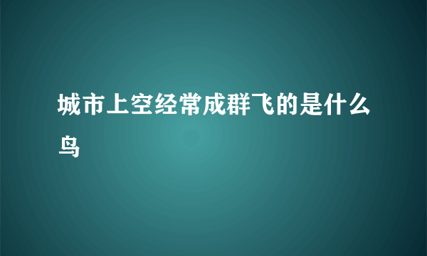 城市上空经常成群飞的是什么鸟