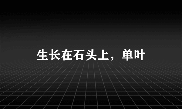 生长在石头上，单叶