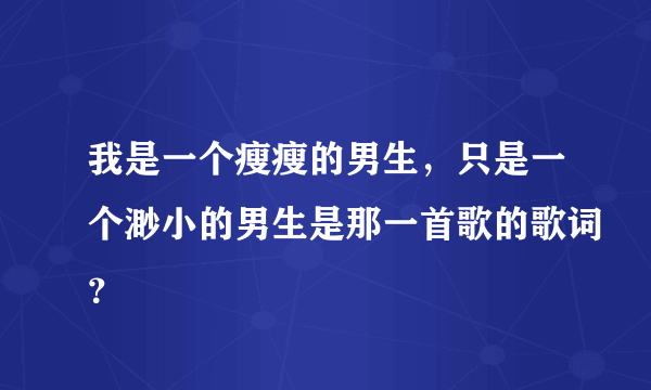 我是一个瘦瘦的男生，只是一个渺小的男生是那一首歌的歌词？