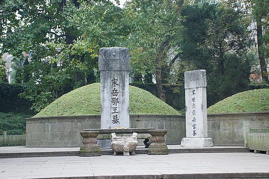 青山处处埋忠骨作者简介