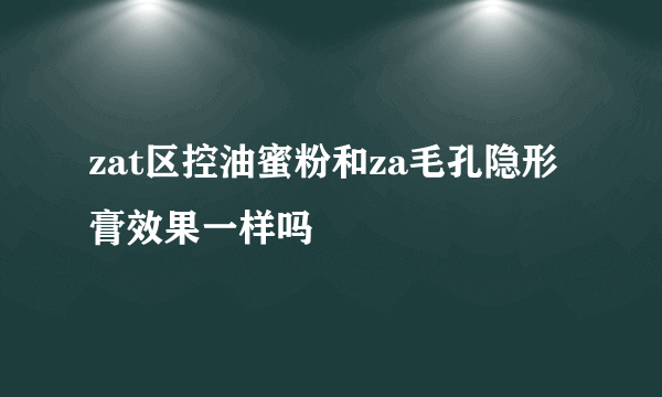 zat区控油蜜粉和za毛孔隐形膏效果一样吗