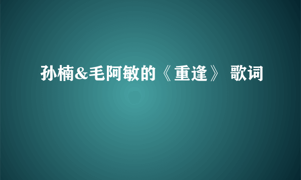 孙楠&毛阿敏的《重逢》 歌词