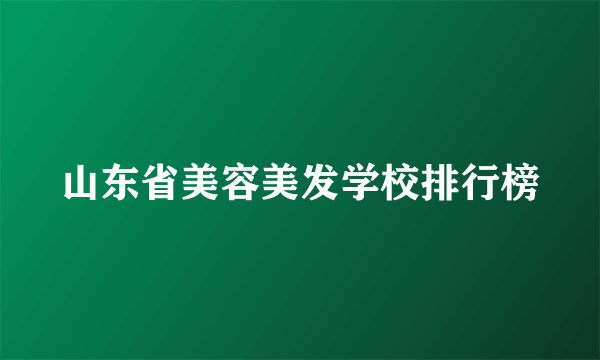 山东省美容美发学校排行榜