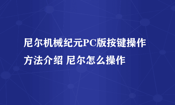 尼尔机械纪元PC版按键操作方法介绍 尼尔怎么操作