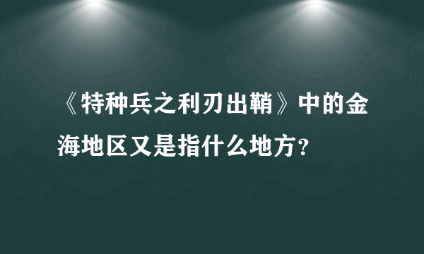 《特种兵之利刃出鞘》中的金海地区又是指什么地方？