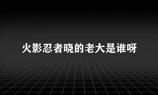 火影忍者晓的老大是谁呀