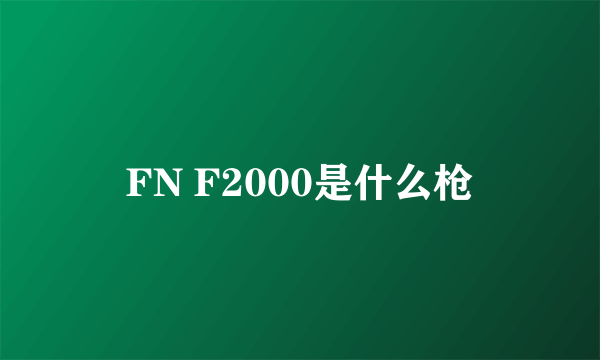 FN F2000是什么枪