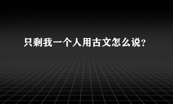 只剩我一个人用古文怎么说？