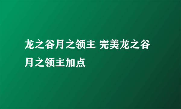 龙之谷月之领主 完美龙之谷月之领主加点