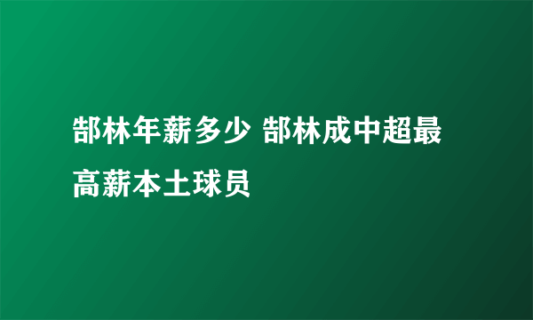 郜林年薪多少 郜林成中超最高薪本土球员