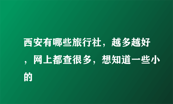 西安有哪些旅行社，越多越好，网上都查很多，想知道一些小的