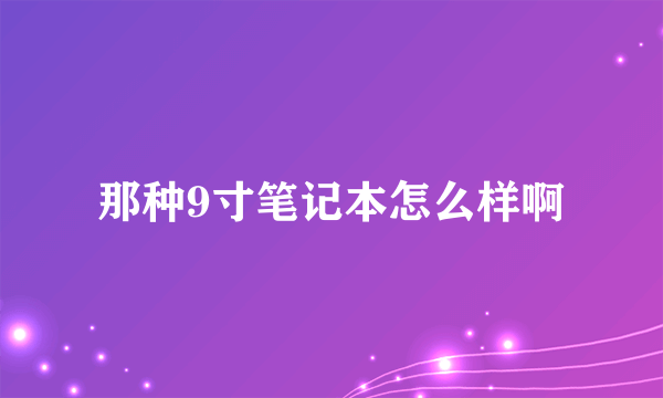 那种9寸笔记本怎么样啊