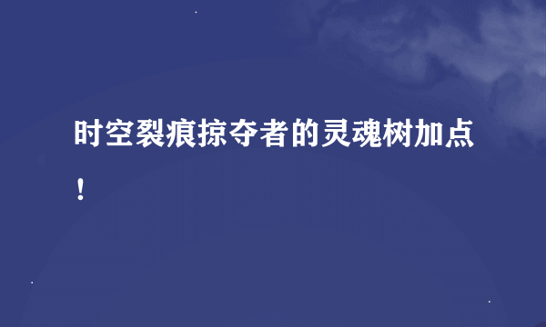 时空裂痕掠夺者的灵魂树加点！