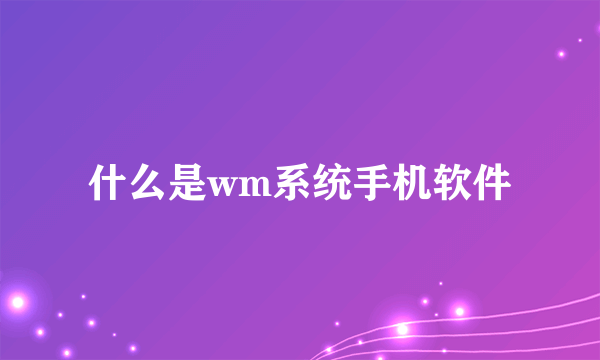 什么是wm系统手机软件