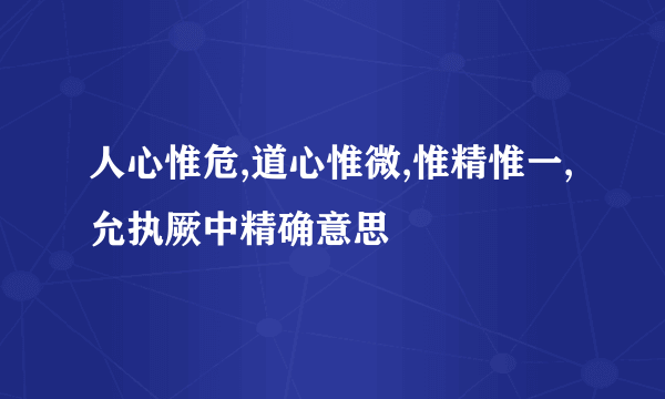 人心惟危,道心惟微,惟精惟一,允执厥中精确意思