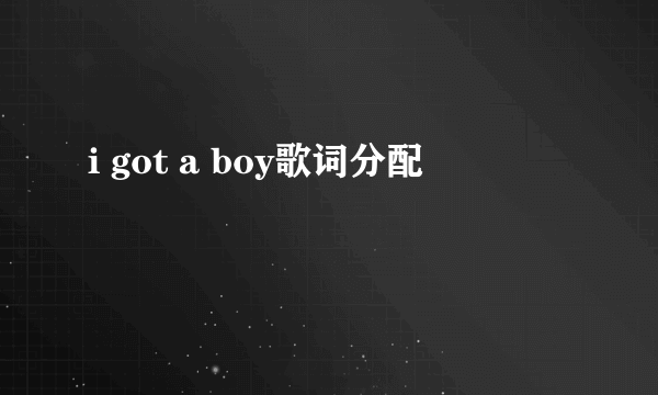 i got a boy歌词分配