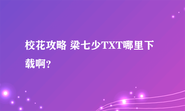 校花攻略 梁七少TXT哪里下载啊？