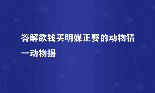 答解欲钱买明媒正娶的动物猜一动物揭