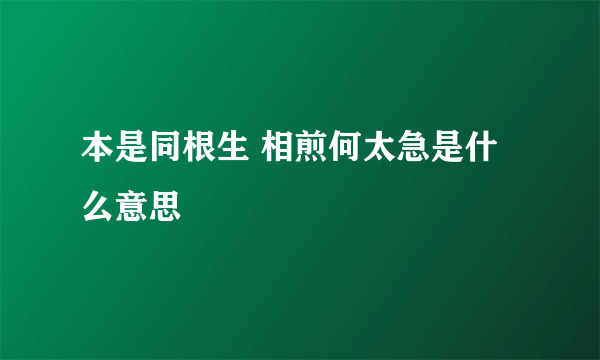 本是同根生 相煎何太急是什么意思