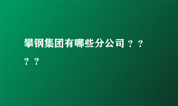 攀钢集团有哪些分公司 ？？？？