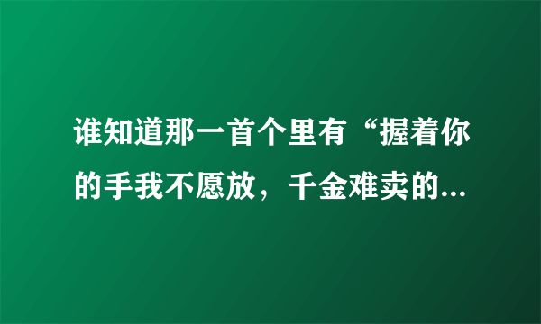 谁知道那一首个里有“握着你的手我不愿放，千金难卖的温暖，无求无尽的爱护”以下忘了