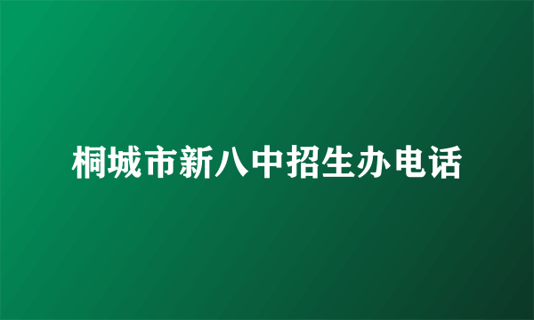 桐城市新八中招生办电话