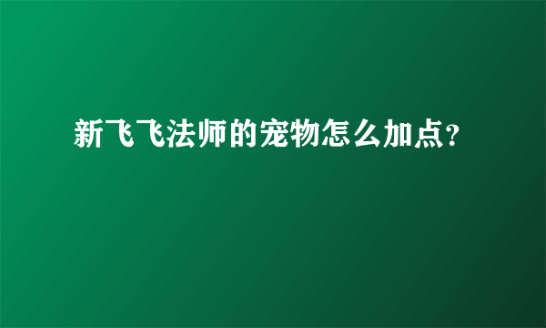 新飞飞法师的宠物怎么加点？