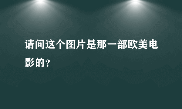 请问这个图片是那一部欧美电影的？