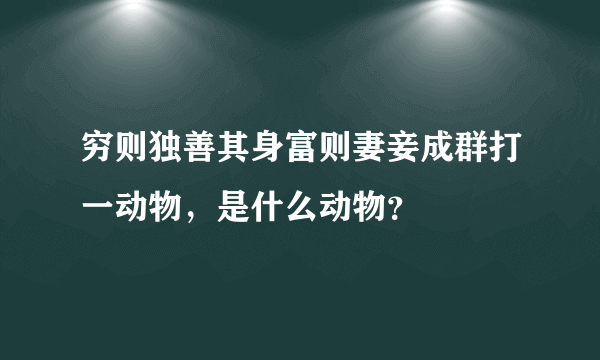 穷则独善其身富则妻妾成群打一动物，是什么动物？